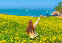 사람보다 꽃을 더 많이 만난다… 승우여행사, 국내 봄꽃 트레킹 여행 추천