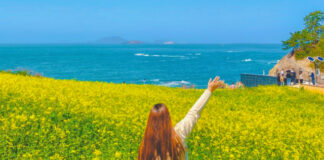 사람보다 꽃을 더 많이 만난다… 승우여행사, 국내 봄꽃 트레킹 여행 추천