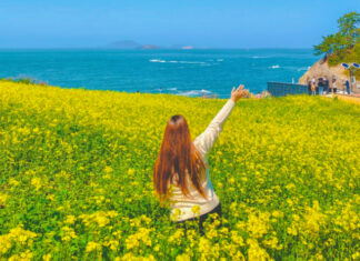 사람보다 꽃을 더 많이 만난다… 승우여행사, 국내 봄꽃 트레킹 여행 추천