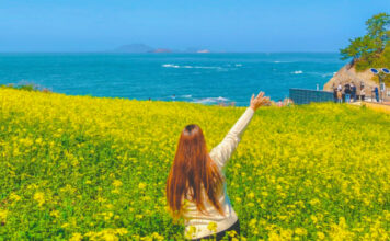 사람보다 꽃을 더 많이 만난다… 승우여행사, 국내 봄꽃 트레킹 여행 추천