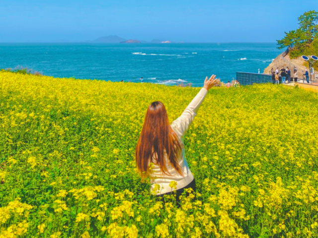 2948714472_20260309124825_6916428190