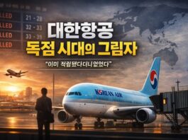 대한항공 독점 시대의 그림자①