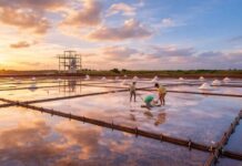 200년 염전이 만든 풍경