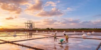 200년 염전이 만든 풍경