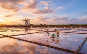 200년 염전이 만든 풍경