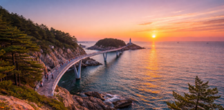 요즘 여행객들이 몰린다…예약 급증한 국내 여행지 10곳