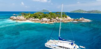 세부에서 세이셸로… 한국 다이버들이 이동하고 있다