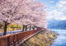 문체부·관광공사 ‘여행가는 봄’ 캠페인 실시… 역대급 혜택이라는데 체감은 의문