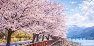 문체부·관광공사 ‘여행가는 봄’ 캠페인 실시… 역대급 혜택이라는데 체감은 의문