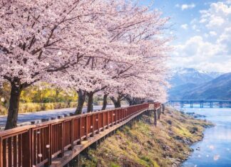 문체부·관광공사 ‘여행가는 봄’ 캠페인 실시… 역대급 혜택이라는데 체감은 의문