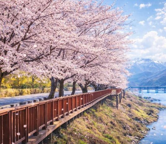 문체부·관광공사 ‘여행가는 봄’ 캠페인 실시… 역대급 혜택이라는데 체감은 의문
