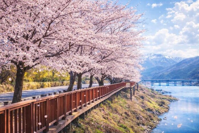 ce9e1c23-edad-4a4e-9524-b57aba8ebb5c