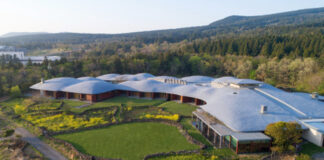 제주 포도호텔 ‘벚꽃 막걸리’ 품은 봄 시즌 한정 패키지 출시