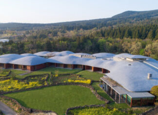 제주 포도호텔 ‘벚꽃 막걸리’ 품은 봄 시즌 한정 패키지 출시