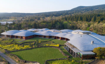 제주 포도호텔 ‘벚꽃 막걸리’ 품은 봄 시즌 한정 패키지 출시