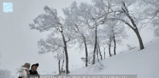 호시노 리조트 토마무, 심형탁·사야·하루 가족 방문… 첫 눈놀이 감동 전해