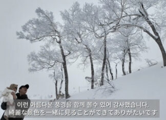 호시노 리조트 토마무, 심형탁·사야·하루 가족 방문… 첫 눈놀이 감동 전해