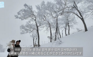 호시노 리조트 토마무, 심형탁·사야·하루 가족 방문… 첫 눈놀이 감동 전해