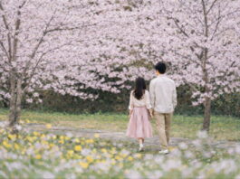 오감(五感)으로 느끼는 제주의 봄 제주신라호텔, “봄꽃 즐기러 제주로 옵서예”