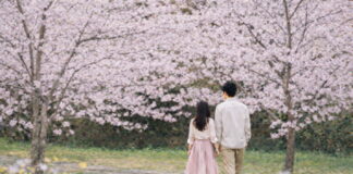 오감(五感)으로 느끼는 제주의 봄 제주신라호텔, “봄꽃 즐기러 제주로 옵서예”