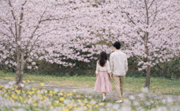 오감(五感)으로 느끼는 제주의 봄 제주신라호텔, “봄꽃 즐기러 제주로 옵서예”