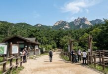 ‘K-관광’의 자아도취인가, 통계의 자기과시인가 북한산 국립공원 입구와 한산한 등산로 풍경