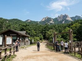 ‘K-관광’의 자아도취인가, 통계의 자기과시인가 북한산 국립공원 입구와 한산한 등산로 풍경