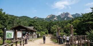 ‘K-관광’의 자아도취인가, 통계의 자기과시인가 북한산 국립공원 입구와 한산한 등산로 풍경