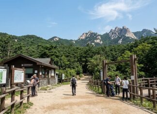 ‘K-관광’의 자아도취인가, 통계의 자기과시인가 북한산 국립공원 입구와 한산한 등산로 풍경