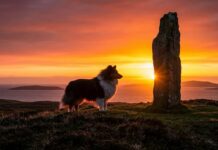 1000 Cities & 1000 Cultures – ① 30억 년의 시간이 조각한 고독한 성소, 스코틀랜드 ‘셰틀랜드(Shetland)’