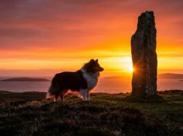 1000 Cities & 1000 Cultures – ① 30억 년의 시간이 조각한 고독한 성소, 스코틀랜드 ‘셰틀랜드(Shetland)’
