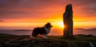 1000 Cities & 1000 Cultures – ① 30억 년의 시간이 조각한 고독한 성소, 스코틀랜드 ‘셰틀랜드(Shetland)’