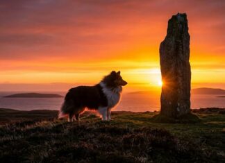 1000 Cities & 1000 Cultures – ① 30억 년의 시간이 조각한 고독한 성소, 스코틀랜드 ‘셰틀랜드(Shetland)’