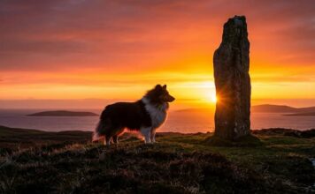 1000 Cities & 1000 Cultures – ① 30억 년의 시간이 조각한 고독한 성소, 스코틀랜드 ‘셰틀랜드(Shetland)’