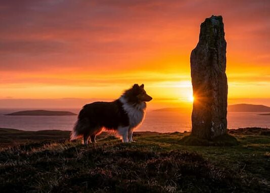 1000 Cities & 1000 Cultures – ① 30억 년의 시간이 조각한 고독한 성소, 스코틀랜드 ‘셰틀랜드(Shetland)’